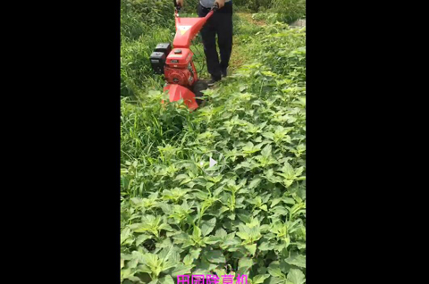 富易堂(中国游)官方网站